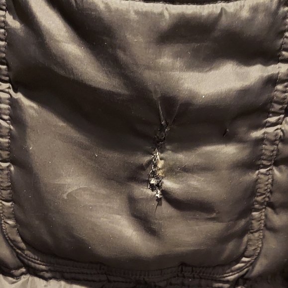 Guess Down Filled Black Coat - Picture 6 of 8